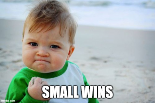 "Baby meme, saying "Small wins"